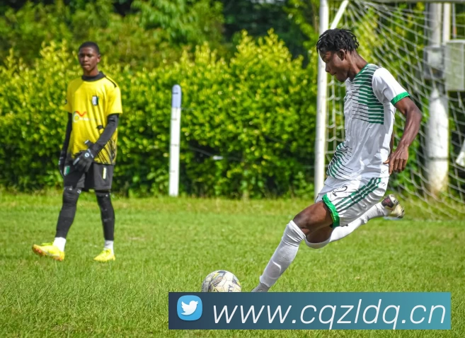 App Interface Preview